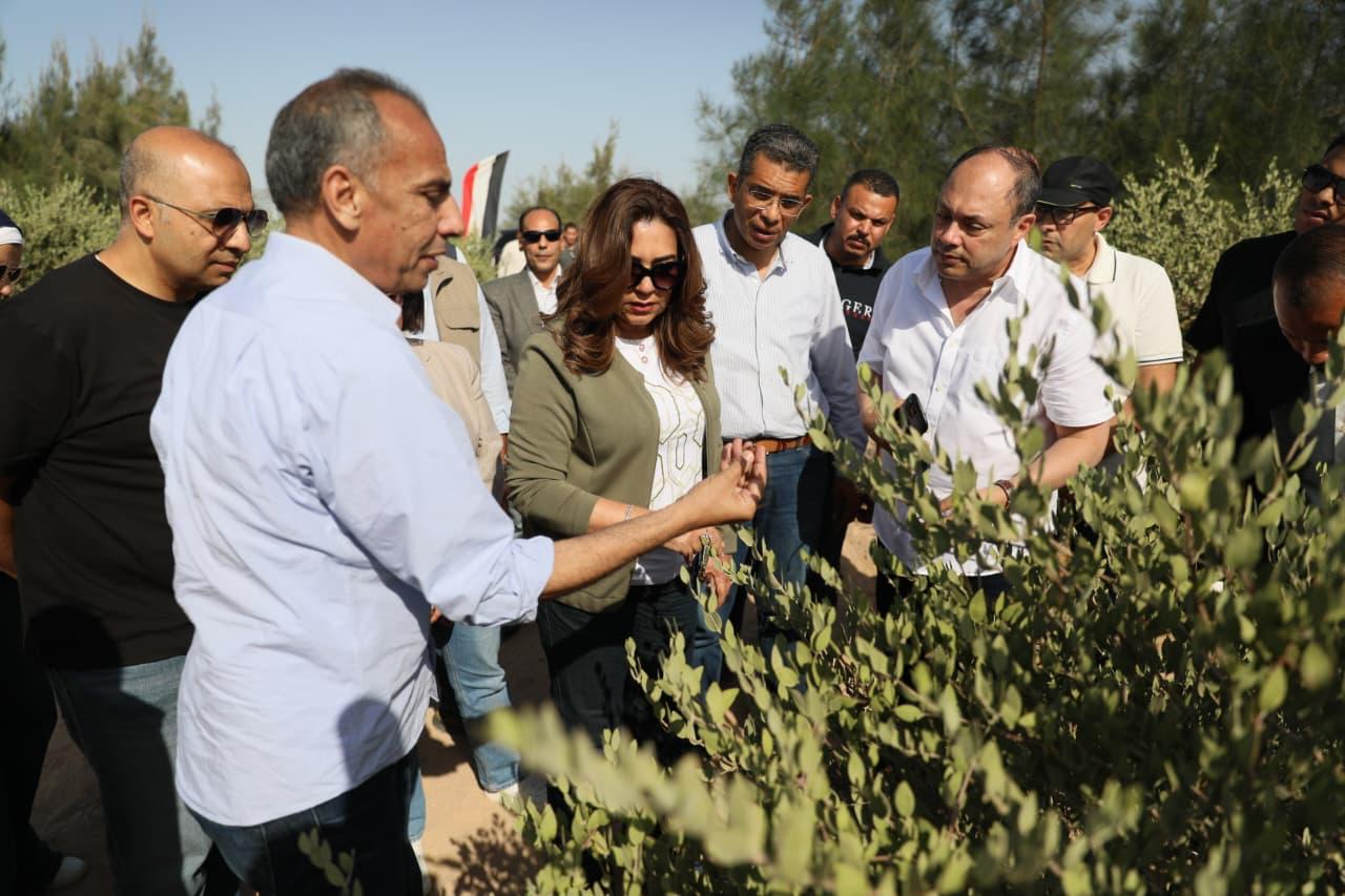 News img